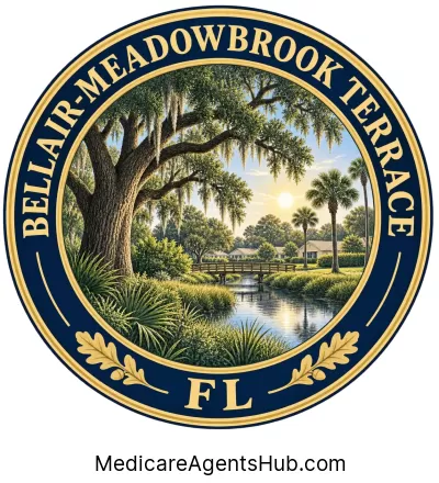 Local Medicare Insurance Agents in Bellair-Meadowbrook Terrace Florida