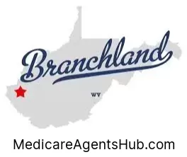 Local Medicare Insurance Agents in Branchland West Virginia
