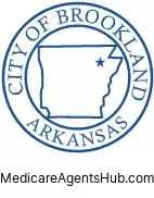 Local Medicare Insurance Agents in Brookland Arkansas