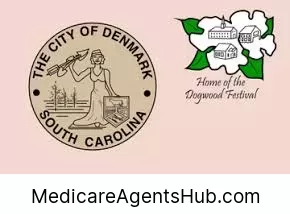 Local Medicare Insurance Agents in Denmark South Carolina