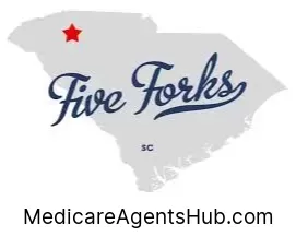 Local Medicare Insurance Agents in Five Forks South Carolina