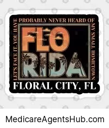 Local Medicare Insurance Agents in Floral City Florida