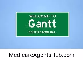 Local Medicare Insurance Agents in Gantt South Carolina