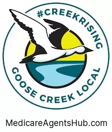 Local Medicare Insurance Agents in Goose Creek South Carolina