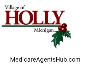 Local Medicare Insurance Agents in Holly Michigan