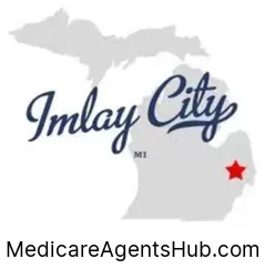 Local Medicare Insurance Agents in Imlay City Michigan