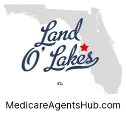 Local Medicare Insurance Agents in Land O' Lakes Florida