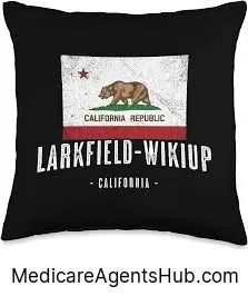 Local Medicare Insurance Agents in Larkfield-Wikiup California