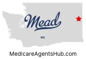 Local Medicare Insurance Agents in Mead Washington