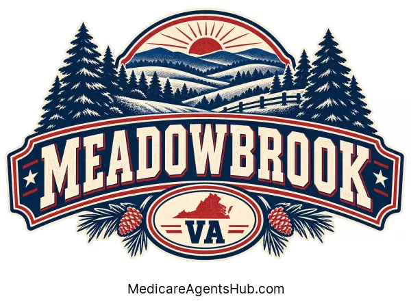 Local Medicare Insurance Agents in Meadowbrook Virginia
