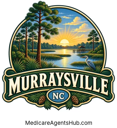 Local Medicare Insurance Agents in Murraysville North Carolina