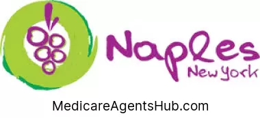 Local Medicare Insurance Agents in Naples New York