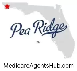 Local Medicare Insurance Agents in Pea Ridge Florida