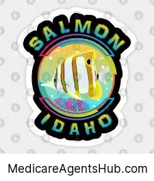 Local Medicare Insurance Agents in Salmon Idaho