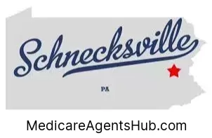 Local Medicare Insurance Agents in Schnecksville Pennsylvania