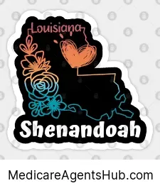 Local Medicare Insurance Agents in Shenandoah Louisiana