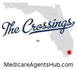 Local Medicare Insurance Agents in The Crossings Florida