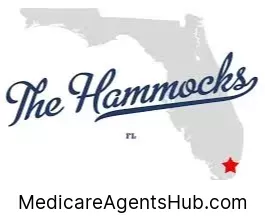 Local Medicare Insurance Agents in The Hammocks Florida