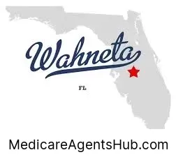 Local Medicare Insurance Agents in Wahneta Florida