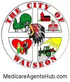 Local Medicare Insurance Agents in Wauseon Ohio