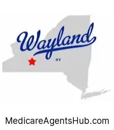 Local Medicare Insurance Agents in Wayland New York