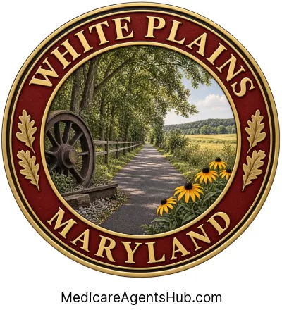 Local Medicare Insurance Agents in White Plains Maryland