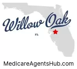 Local Medicare Insurance Agents in Willow Oak Florida