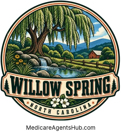 Local Medicare Insurance Agents in Willow Spring North Carolina