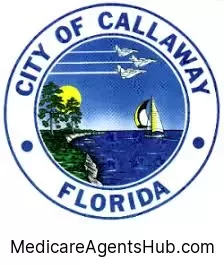 Local Medicare Insurance Agents in Callaway Florida