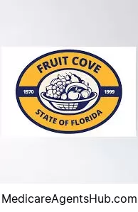 Local Medicare Insurance Agents in Fruit Cove Florida