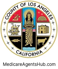Local Medicare Insurance Agents in Lake Los Angeles California