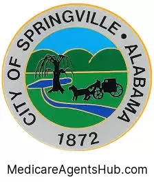 Local Medicare Insurance Agents in Springville Alabama