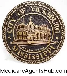 Local Medicare Insurance Agents in Vicksburg Michigan