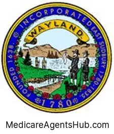 Local Medicare Insurance Agents in Wayland Massachusetts