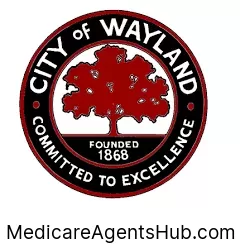 Local Medicare Insurance Agents in Wayland Michigan